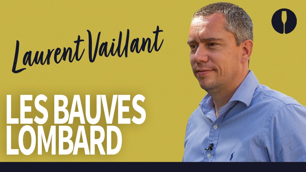 Comment est élaborée la cuvée Les Bauves du champagne Lombard ?