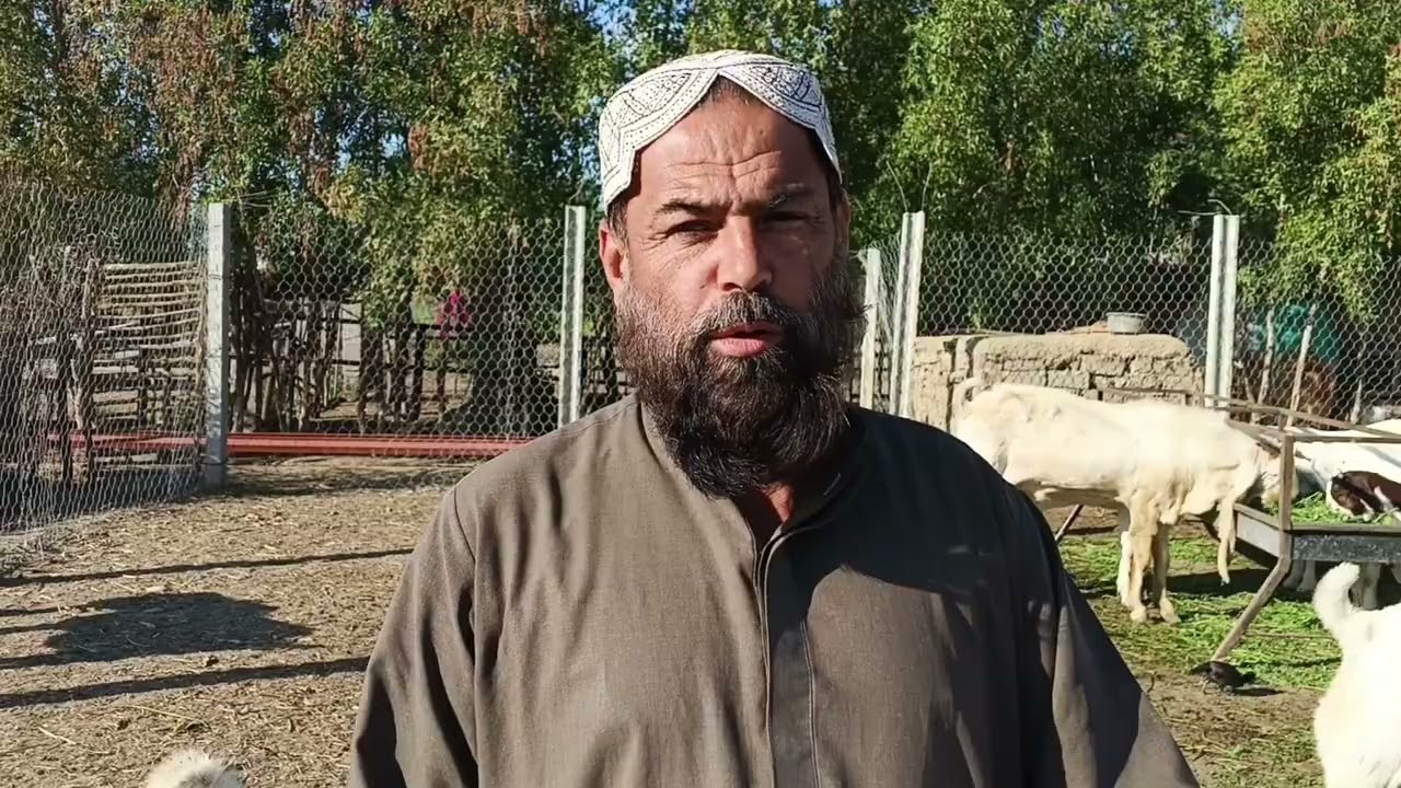 کم ارسے میں بڑا شوق 