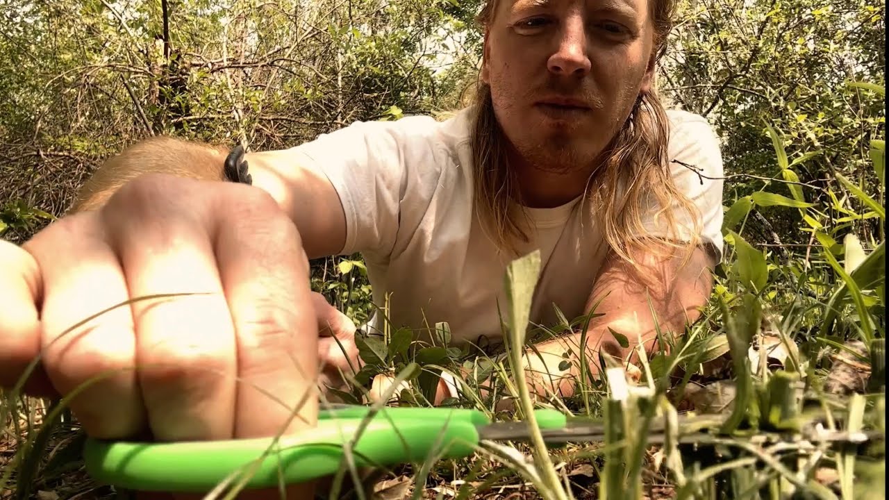 ASMR | How Barbers Cut Grass