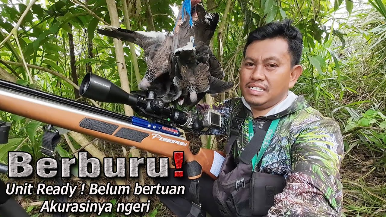 Makin Ngeri Akurasinya‼️125 Meter berburu dengan Pasopati small game, auto  panen poin🎯💯