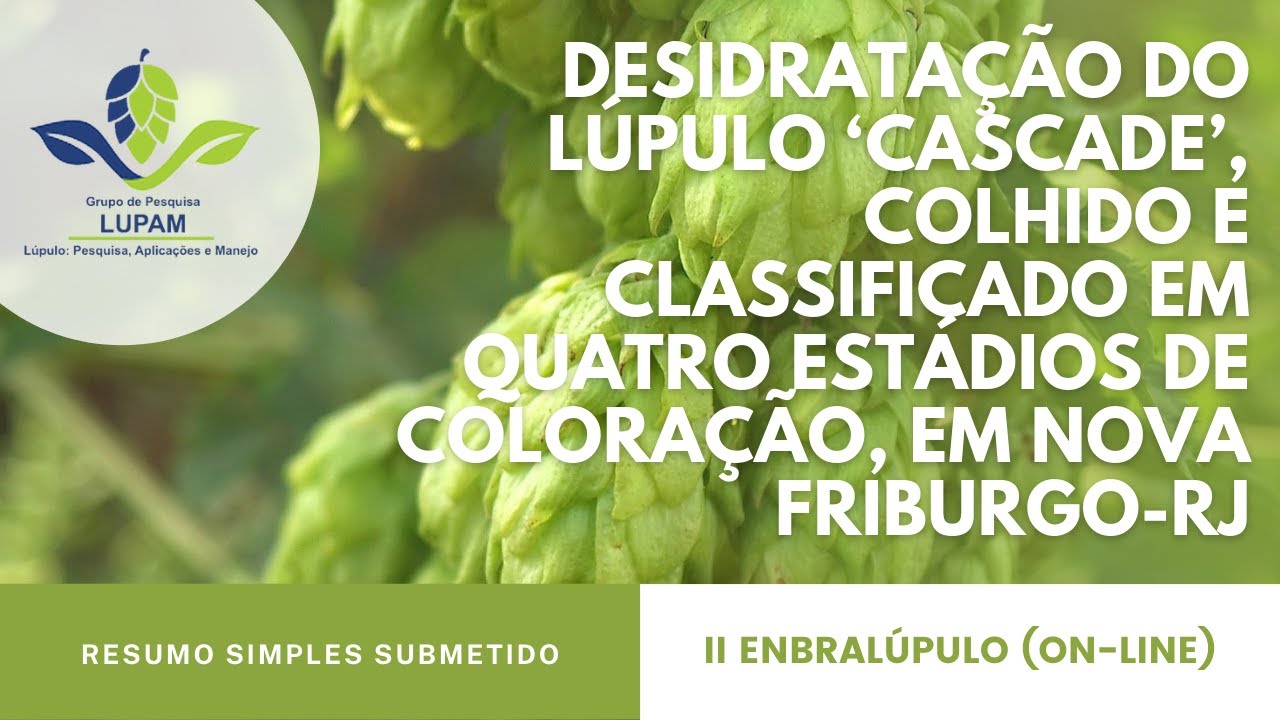DESIDRATA&Ccedil;&Atilde;O DO L&Uacute;PULO &lsquo;CASCADE&rsquo;, COLHIDO E CLASSIFICADO EM QUATRO EST&Aacute;DIOS, EM NOVA FRIBURGO-RJ