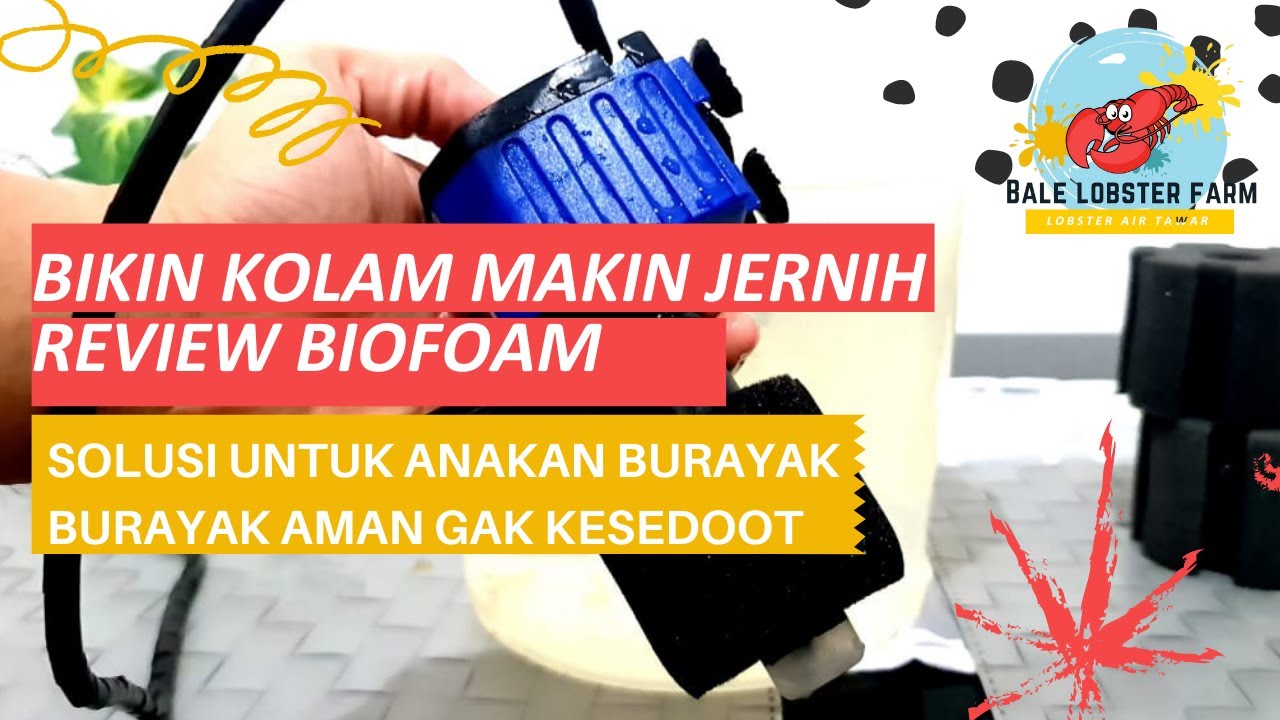 BIKIN KOLAM MAKIN JERNIH - REVIEW BIOFOAM