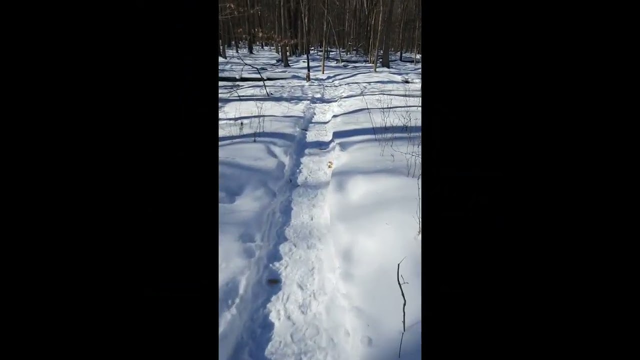 Pov Hiking 