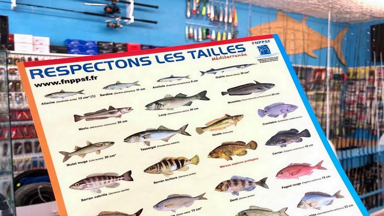 Info peche pratique cap d&rsquo;agde