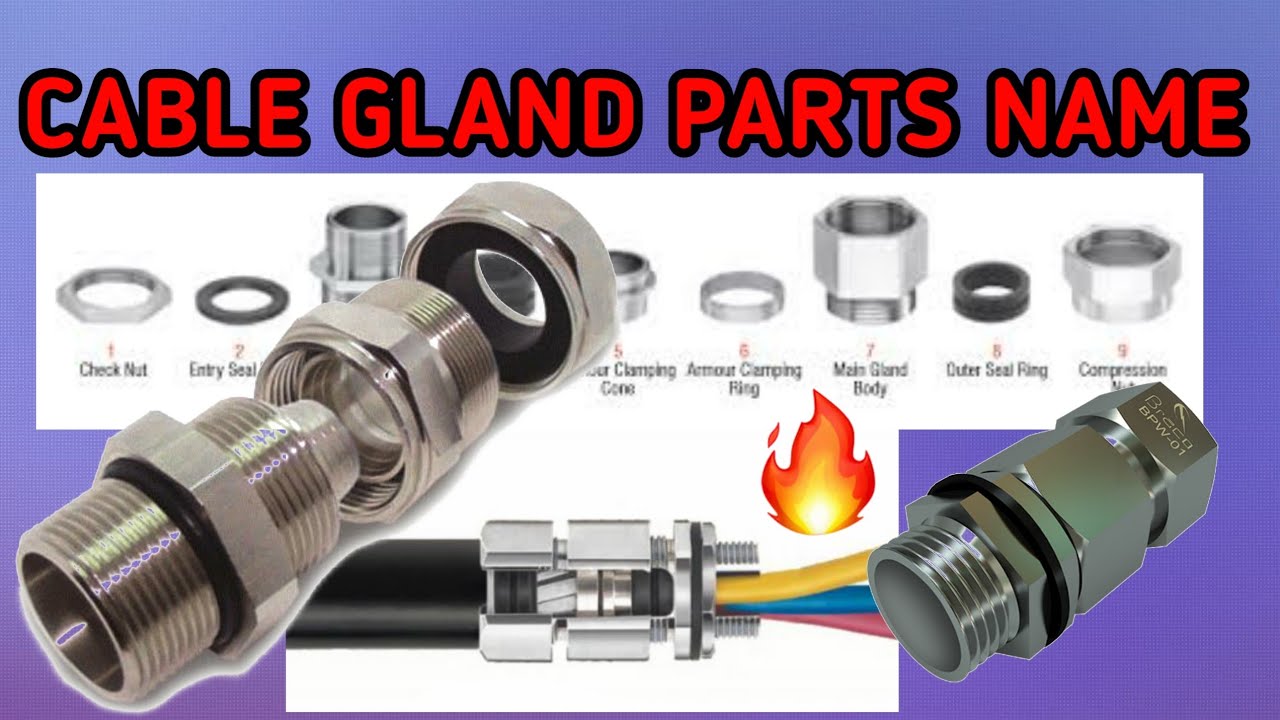 Cable Glands Parts Name | Double Compression Gland | Cable termination | glands parts expalain hindi