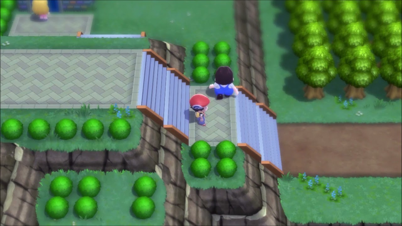 Pokémon Brilliant Diamond - Part 21 - Route 214, Valor Lakefront, Pastoria City
