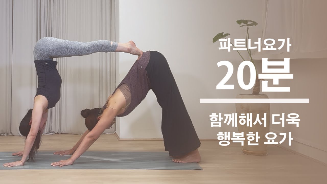 파트너요가 / 커플요가 / 쉬운 요가 / 비하요가