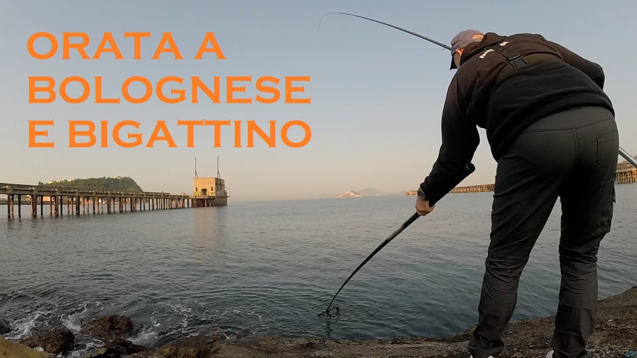 #PESCA BOLOGNESE/ORATA A BIGATTINO