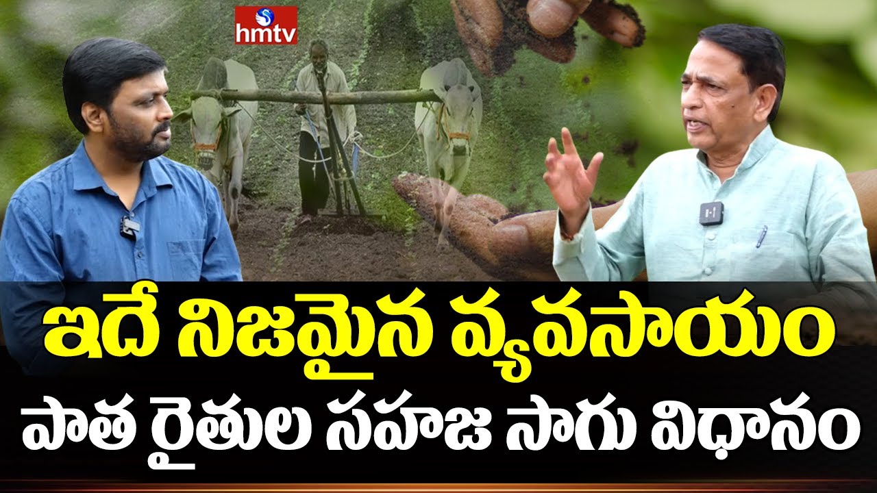 Agriculture :ఇదే నిజమైన వ్యవసాయం.. పాత రైతుల సహజ సాగు విధానం | hmtv