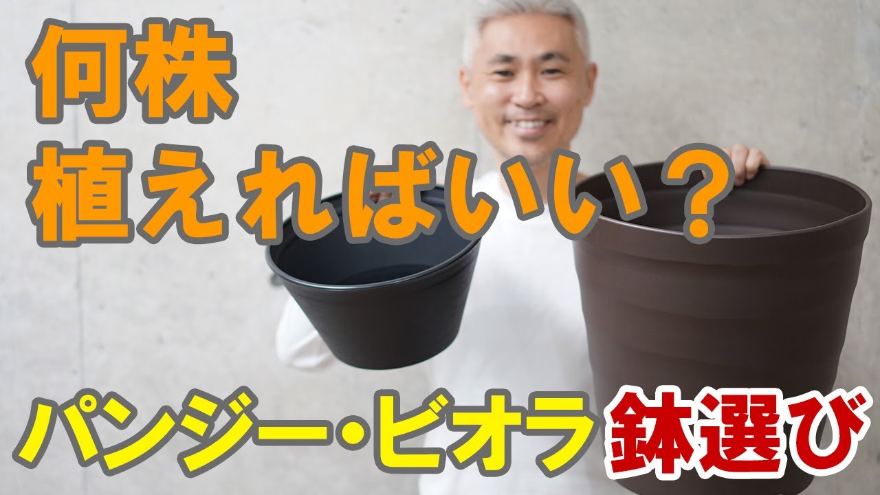 どう選べばいいの？パンジー・ビオラの苗を植えるプランターの大きさ