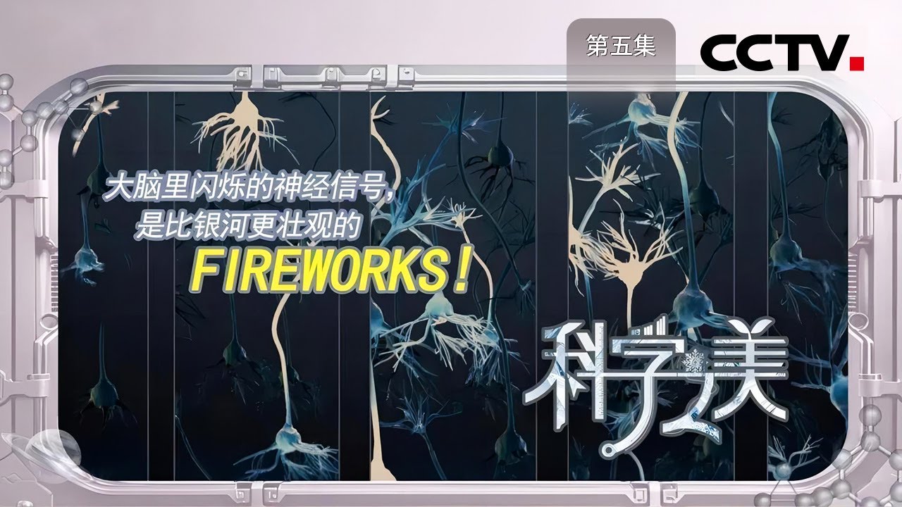 《科学之美》05 大脑秘境：走进大脑的微观世界 感受一场震撼人心的生命之旅【CCTV纪录】