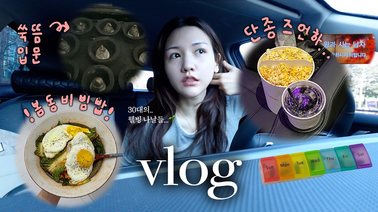➰ 일주일 vlog 모음 ➰ | 쑥뜸추천,봄동비빔밥,왕사남에 빠졌습니다...,가구일러페어,산부인과 결과