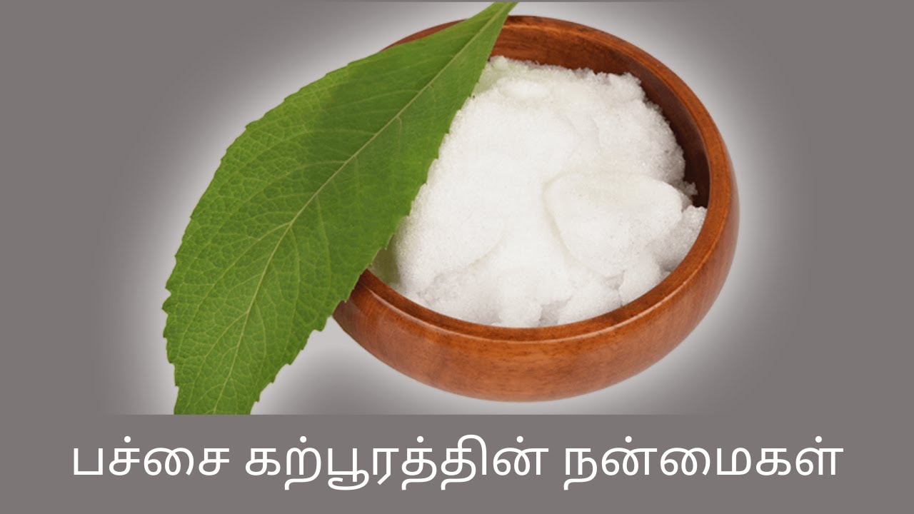பச்சைக் கற்பூரத்தின் நன்மை / Benefits of green camphor / C K Nandagopalan