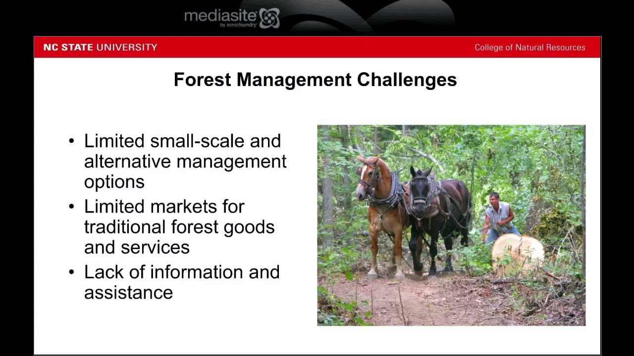 Challenges and Issues of Forest Ownership
