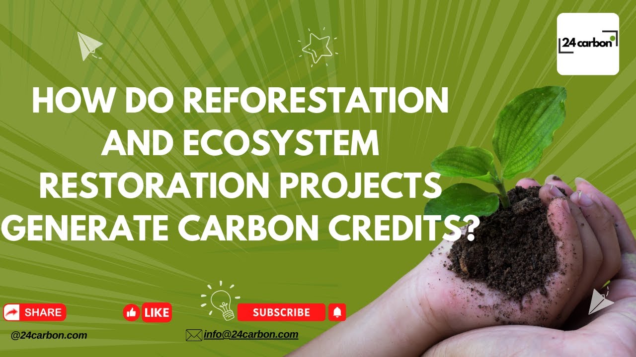 How Do Reforestation and Ecosystem Restoration Projects Generate Carbon Credits?