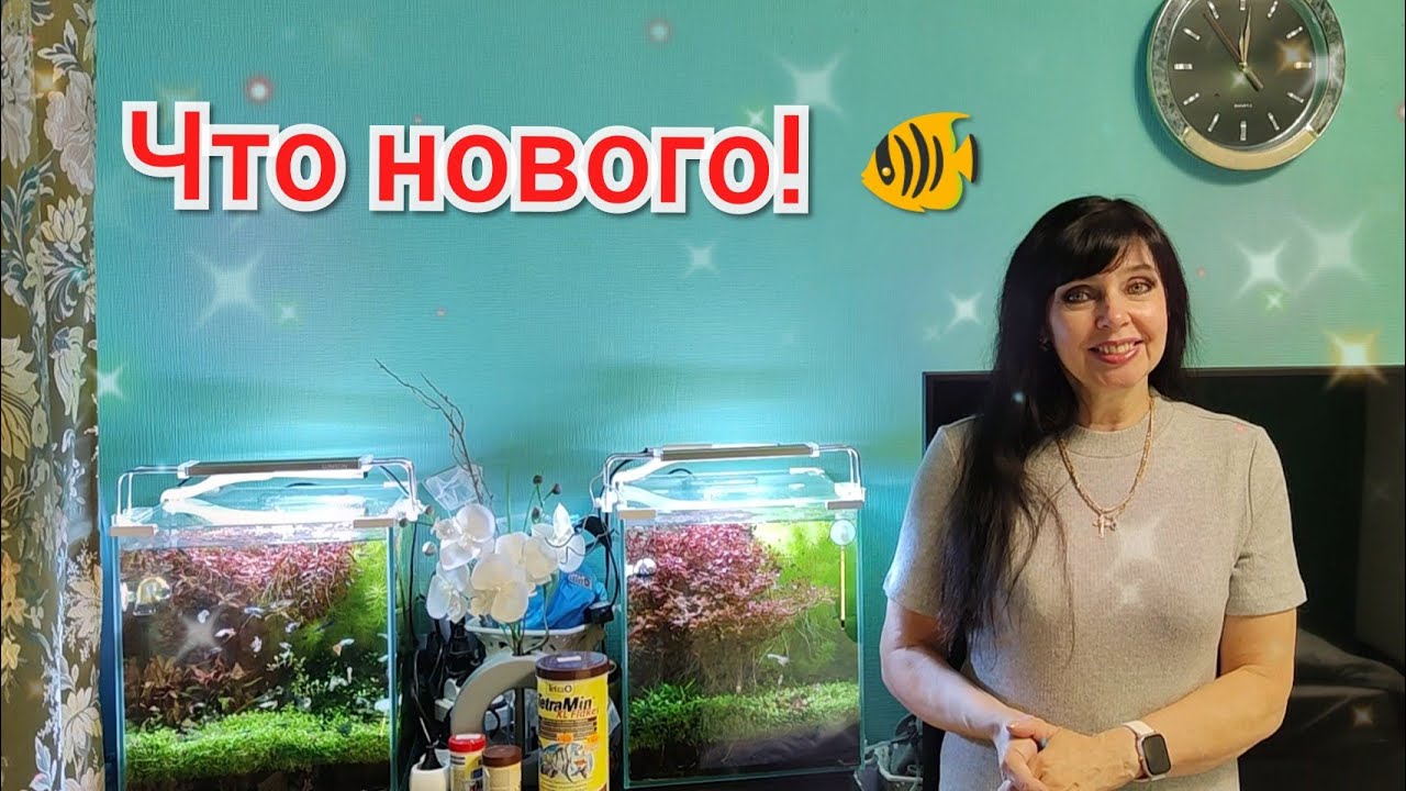 Vlog 🐠 Аквариумные Будни 🐟  @RutaVlog  @HozajushkaRuta