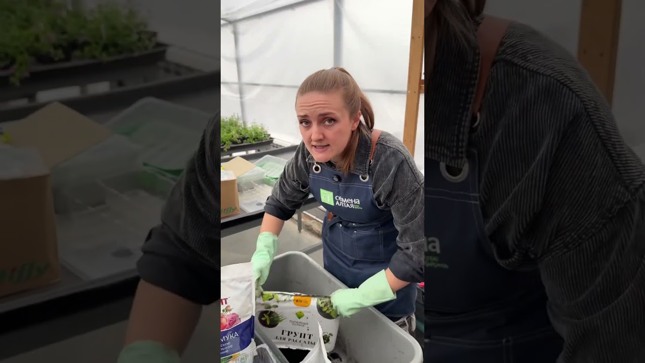 Так астра взойдет точно!