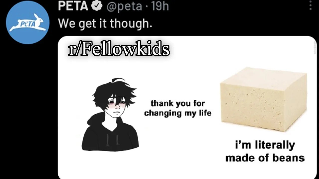 THE BEST OF R/FELLOWKIDS