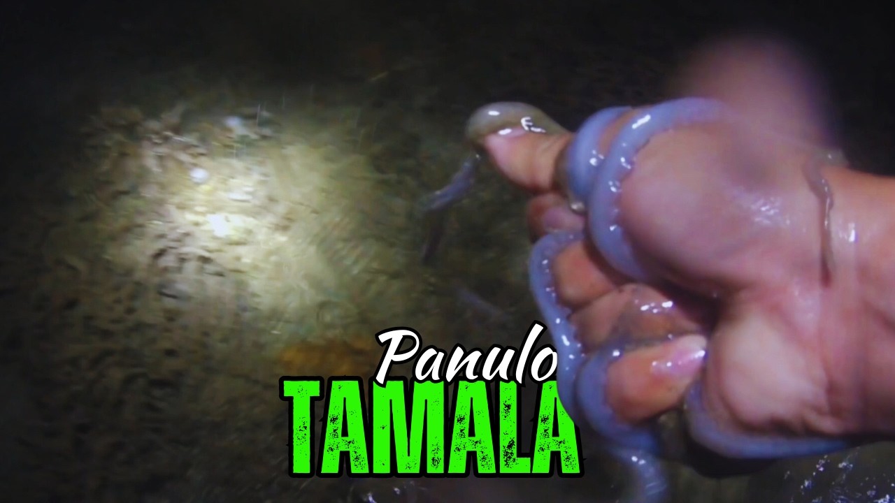 P1 Naka Panulo nata'g Pangpaksiw | Ep: 272 #dumagsa #fishing 