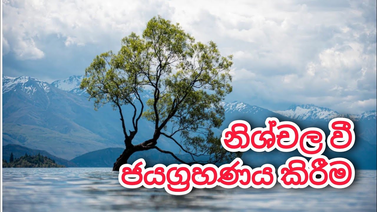 නිශ්චල වී ජයග්‍රහණය කිරීම