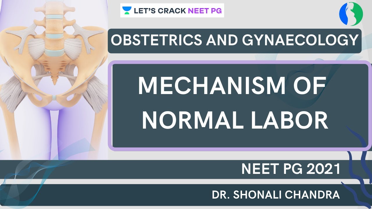 Mechanism of Normal Labor | NEET PG 2021 | Dr. Shonali Chandra