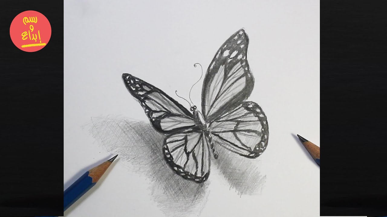 Drawing Butterfly | How to draw a رسم فراشة بالخطوات للمبتدئين | Butterfly 🦋
