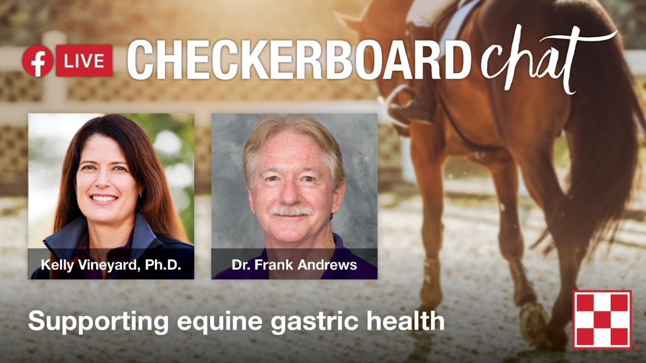 Checkerboard Chat: Purina&reg; Outlast&reg; Gastric Care for Horses