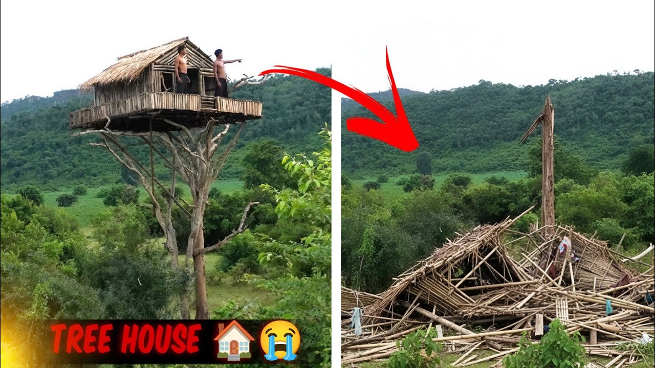 Apne purane Tree House ko kyu todna pada? 😭 (सबसे सटीक)