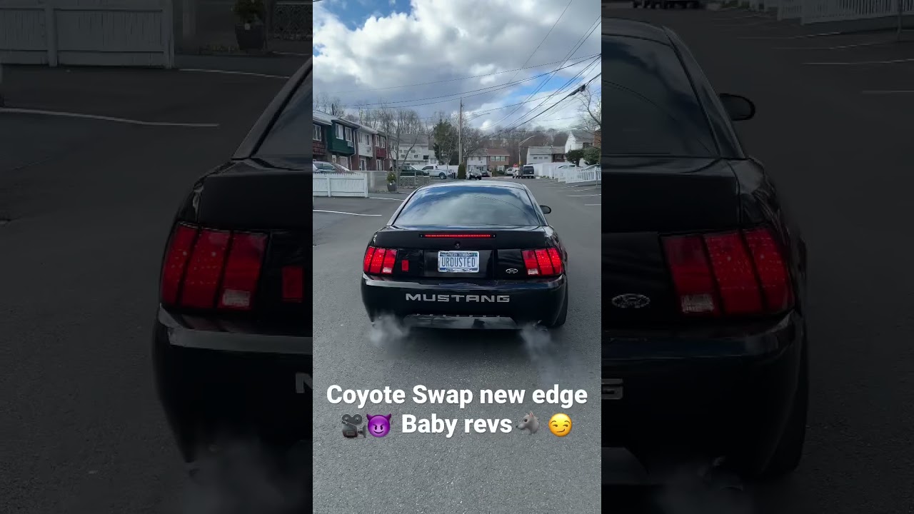 Coyote swap 03 mustang gt sound!!!!