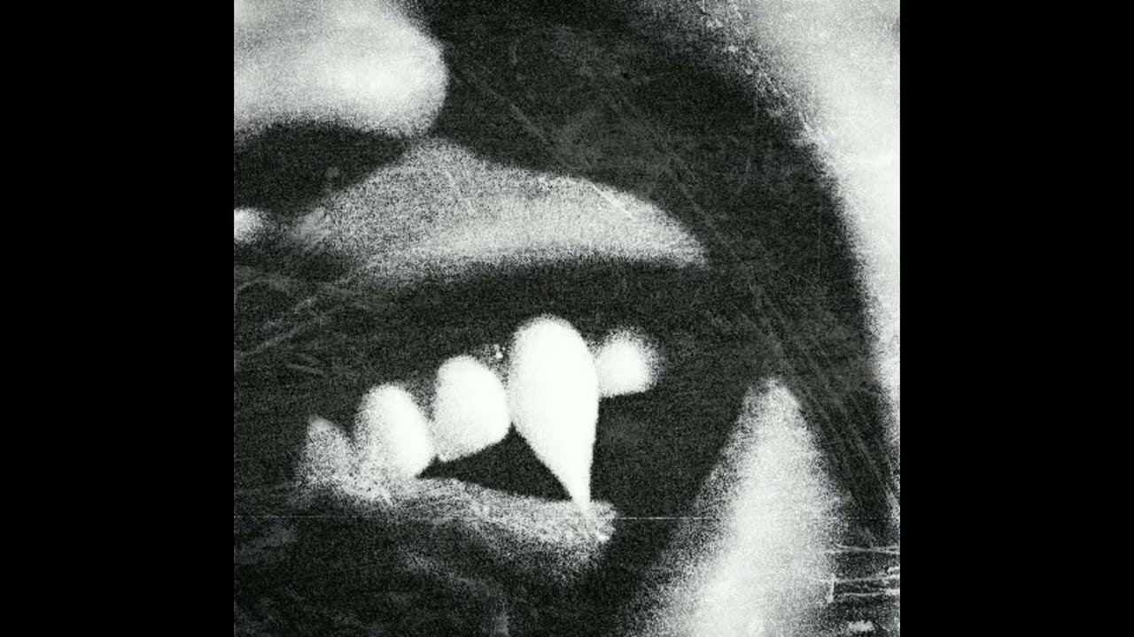[FREE] EXPERIMENTAL BIGBABYGUCCI + WHITEROSEMOXIE TYPE BEAT - 
