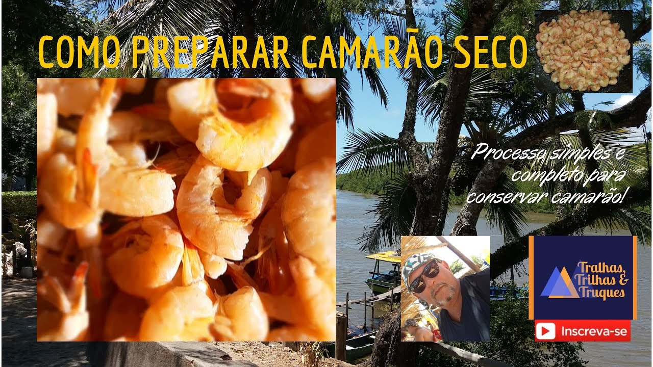 COMO PREPARAR E CONSERVAR CAMARÃO SECO.