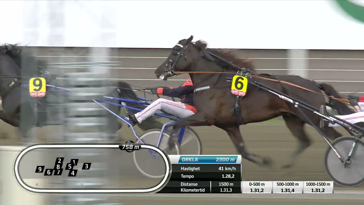 Varig Orkla Arena - Søndag 16. august 2025 - Løp 1