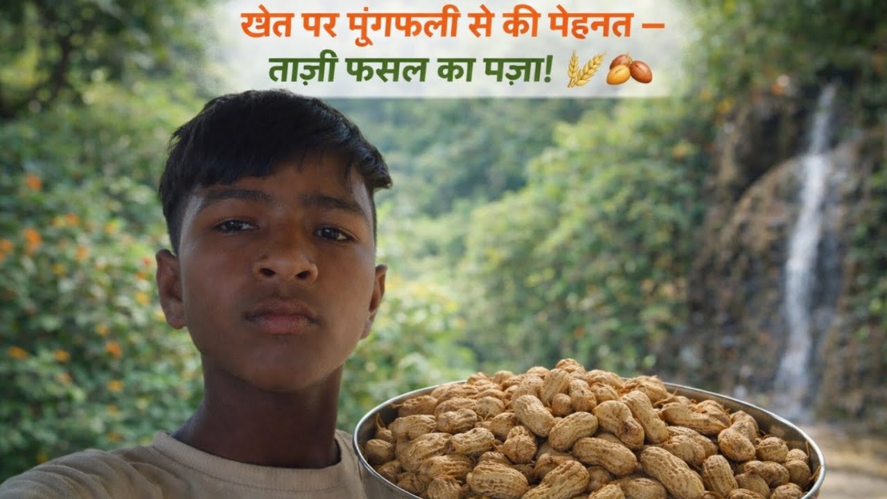 “खेत पर मूंगफली से की मेहनत – ताज़ी फसल का मज़ा! 🌾🥜”