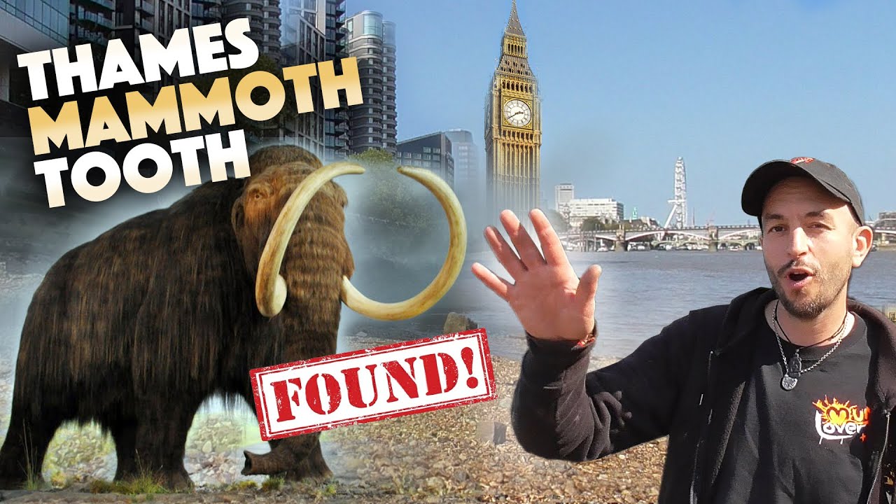 Finding a MAMMOTH tooth! Mudlarking in London plus loads more finds