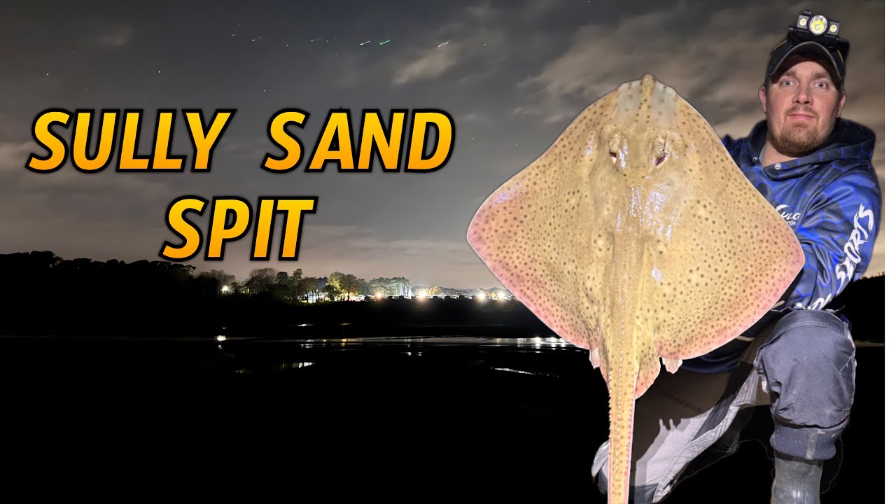 Sully Sand Spit BLONDE RAYS