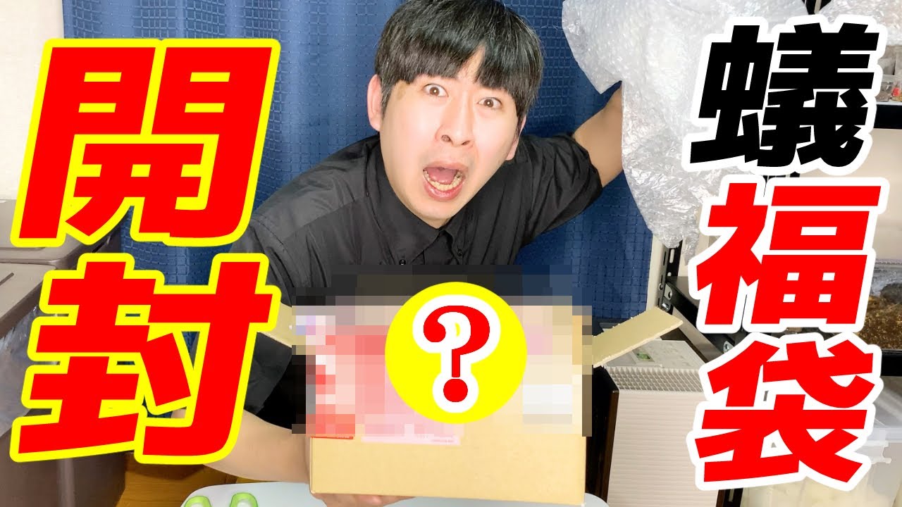 アリ専門店で販売される昆虫福袋を開封してみた結果・・・