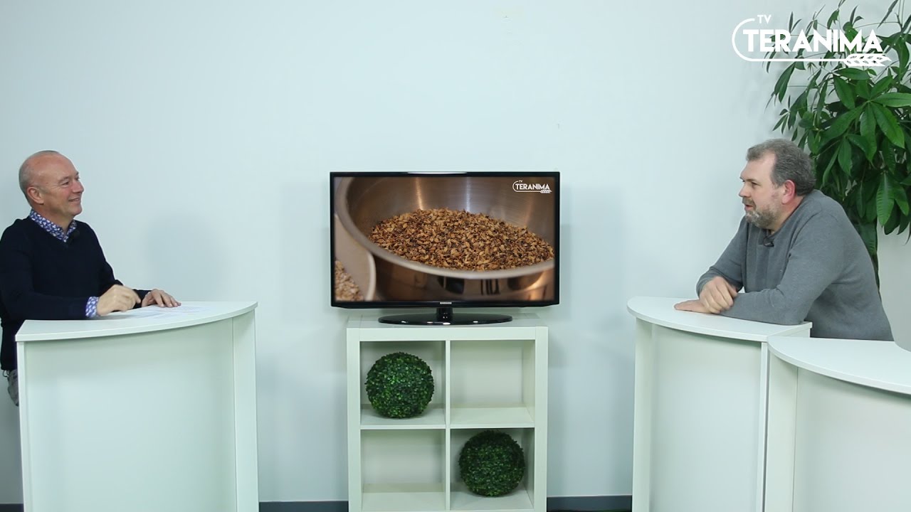 La bière, entre traditions et nouvelle économie