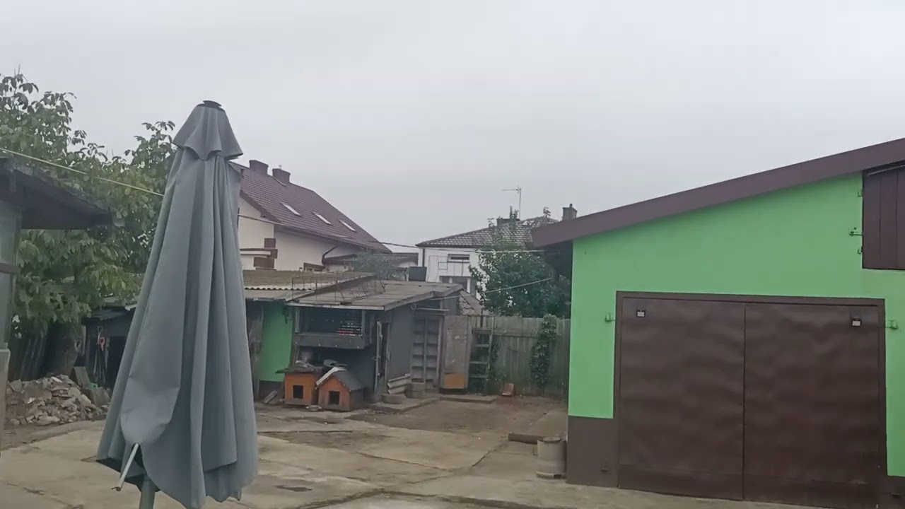 Gołębie Sławka Łowicz 😀🤚. Sobota najpierw przyjemności później robota. Pozdrawiam 🖐️.