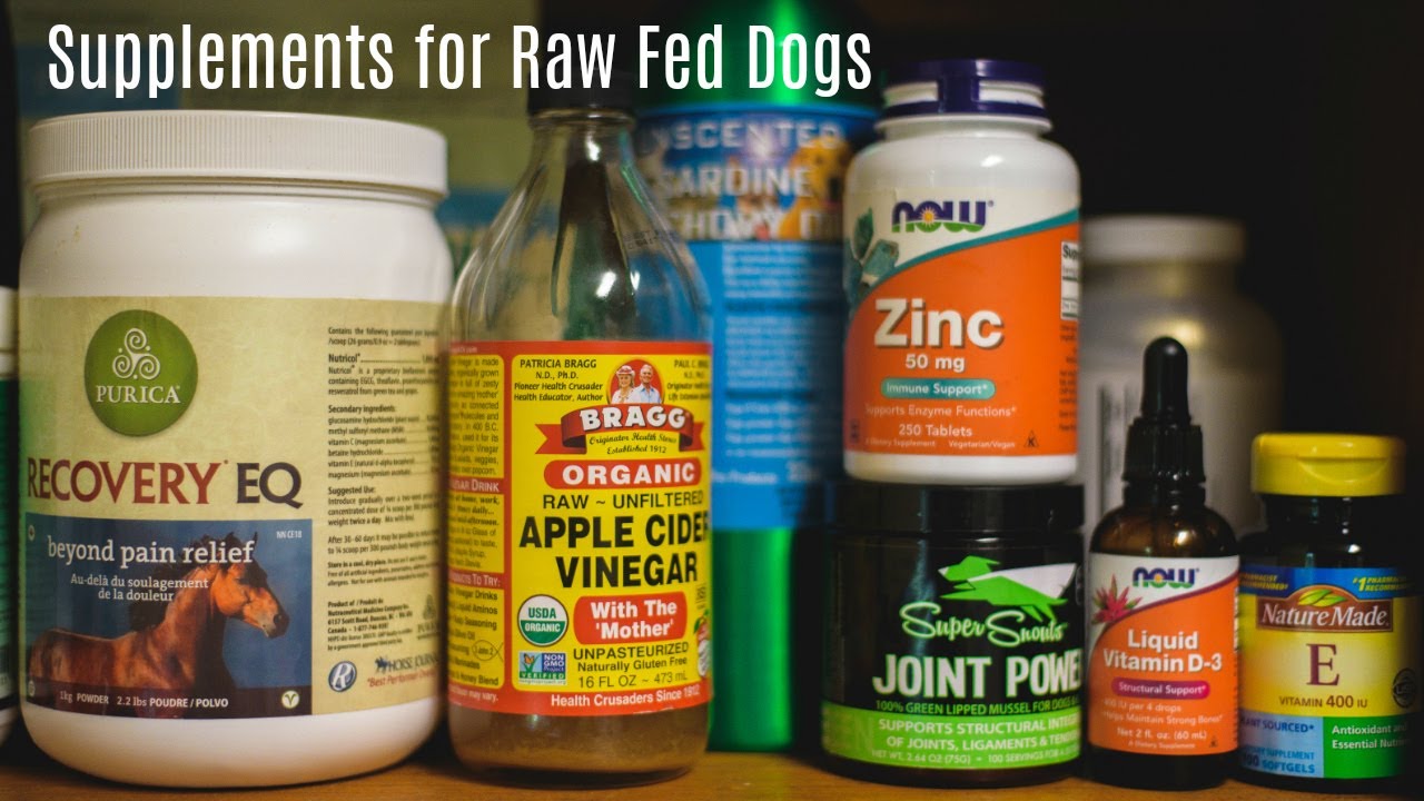 Supplements for Your Raw Fed Dog || Part 2