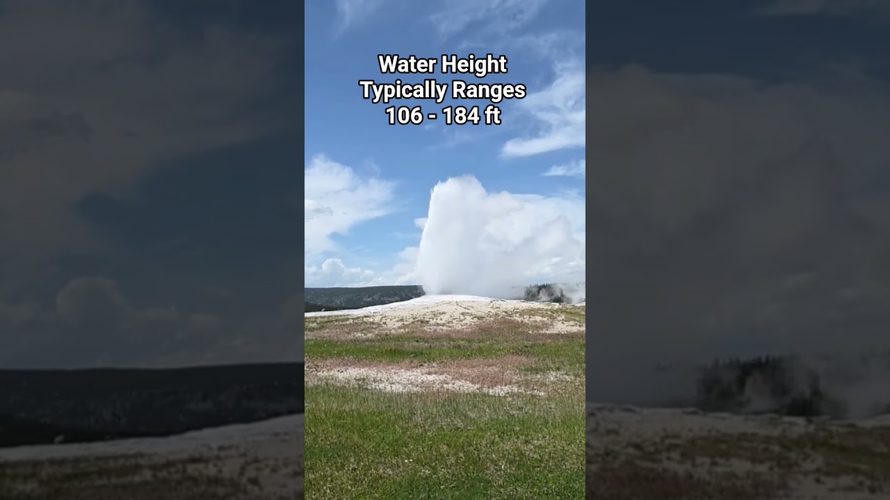 OLD FAITHFUL GEYSER #yellowstone #nature #shorts