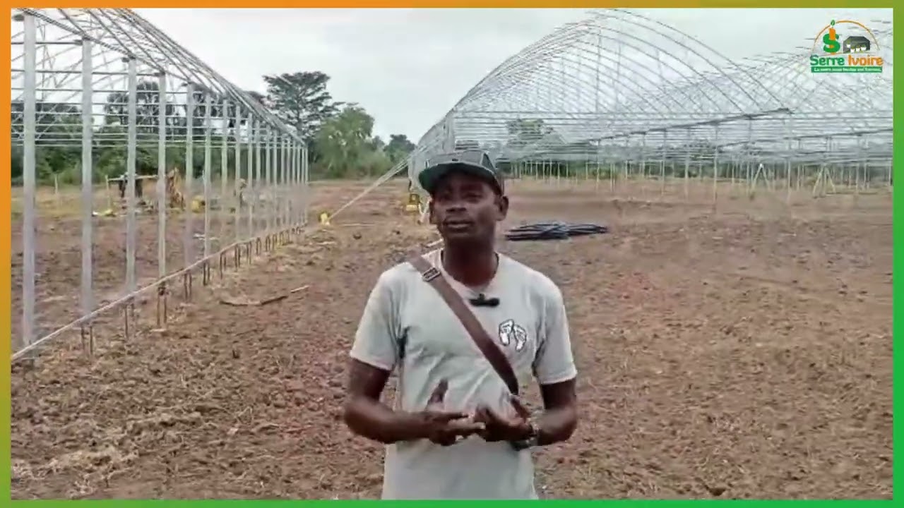 FABRICATION D'UNE SERRE DE 10.000 m² DANS LA VILLE DE TOUMODI PLUS PRÉCISÉMENT À ASSOUNVOUE.