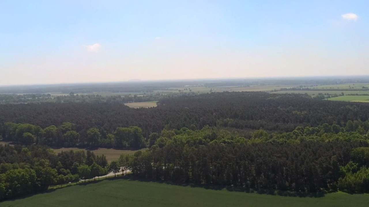 Hambührener Feldmark 26 Mai 17