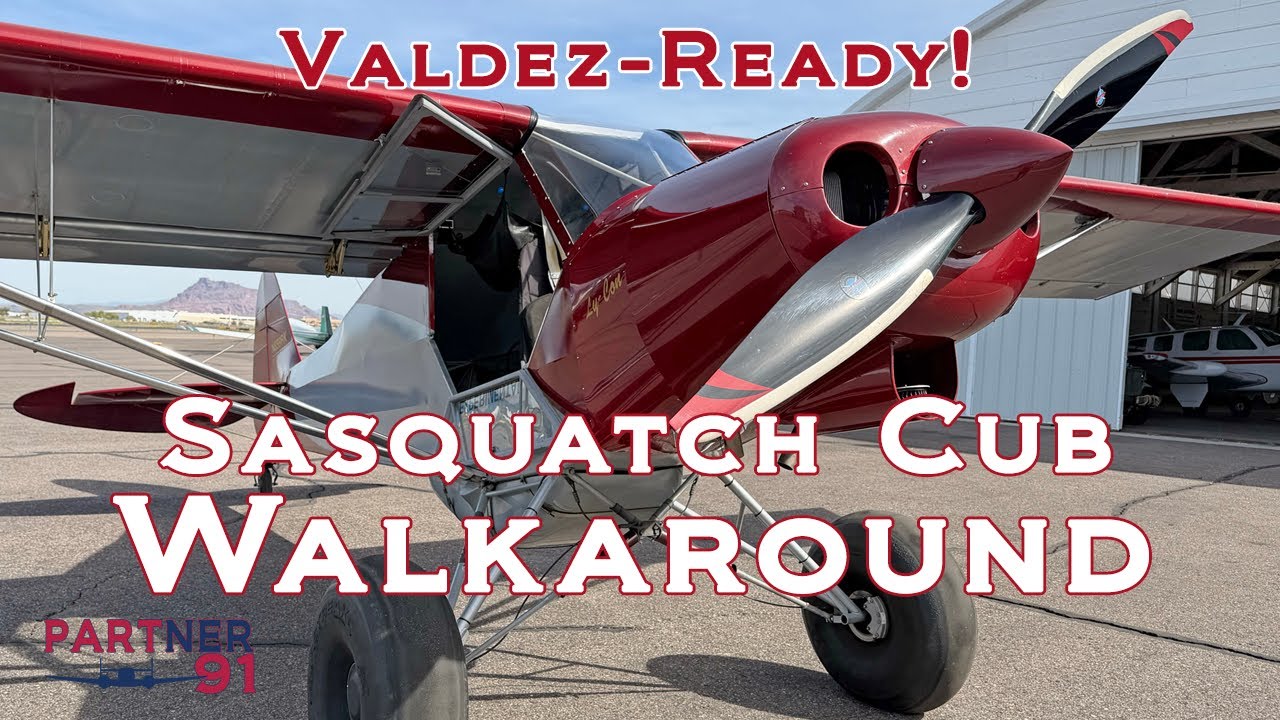 For Sale! Walkaround - Sasquatch Cub - N859RK