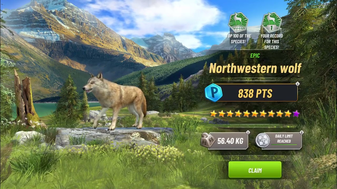 Hunting Clash 
