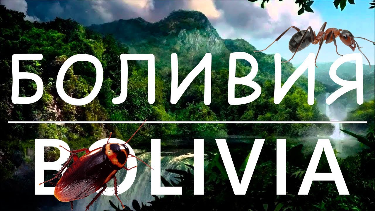 Путешествие в БОЛИВИЮ. УЖАСЫ джунглей