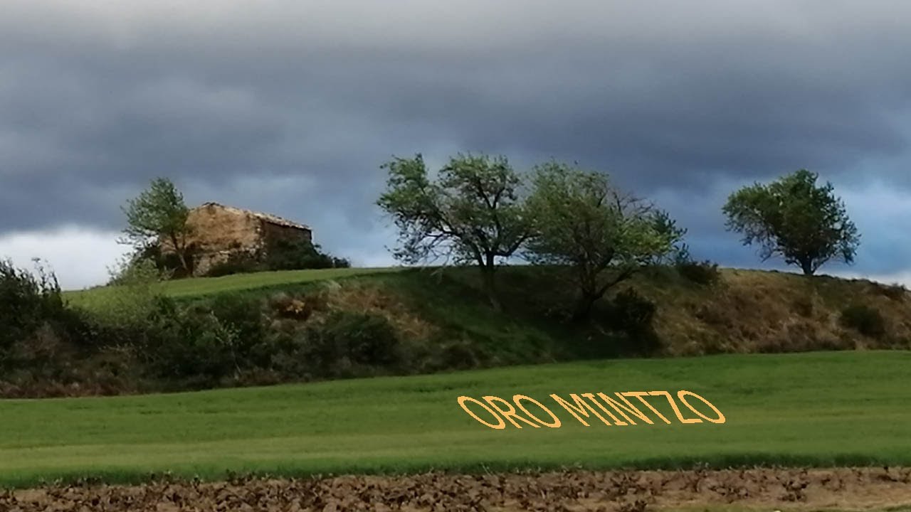 ORO MINTZO