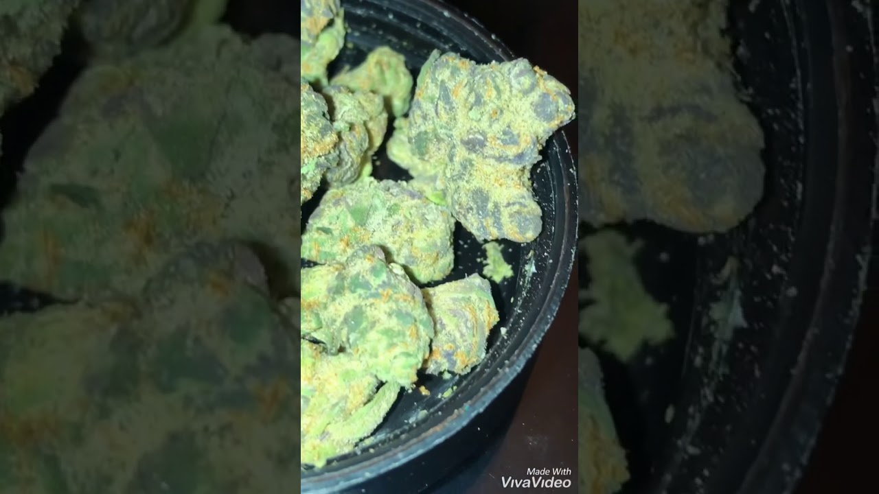 REAL FORUM CUT COOKIES
