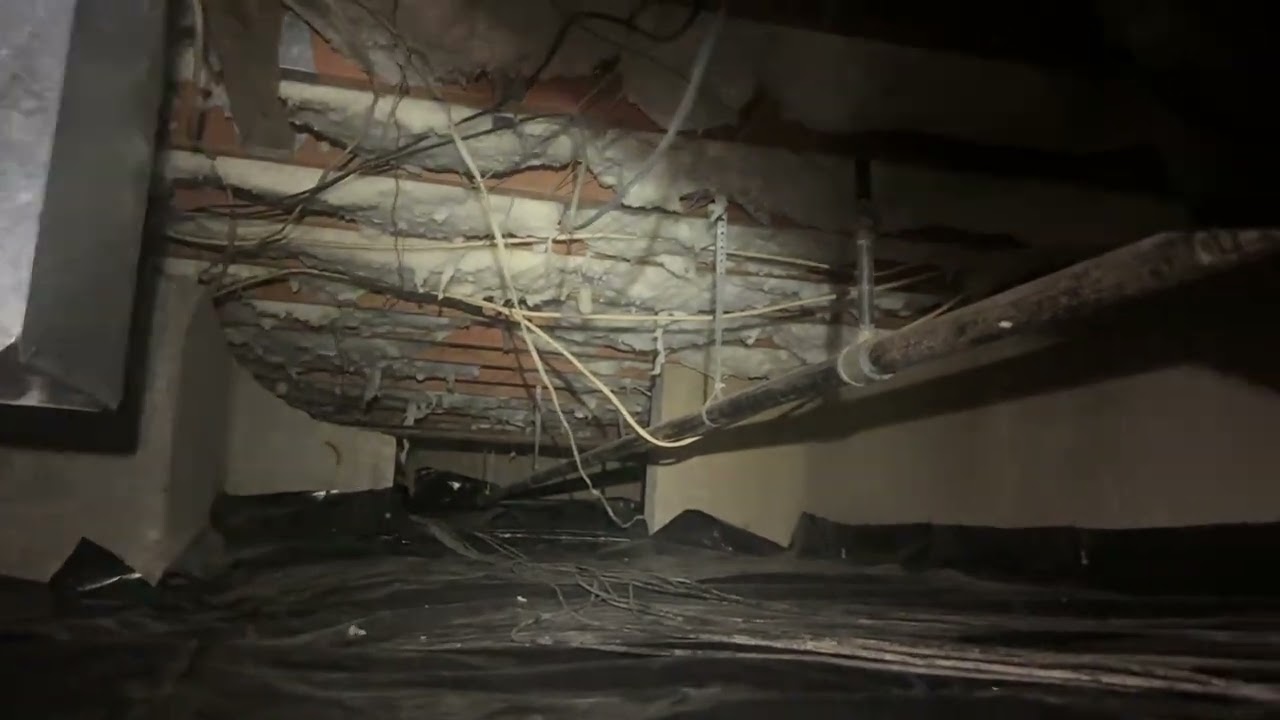 Insulation Removal