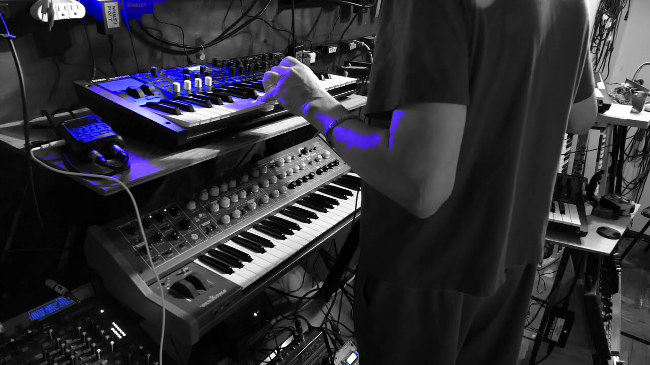 Let the Korgs sing:   Multipoly and two Modwaves