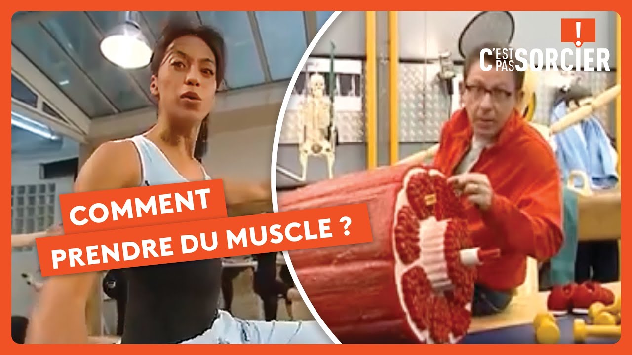 Comment prendre du muscle ? - C'est pas sorcier